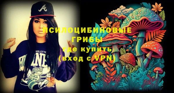 МДМА Карпинск