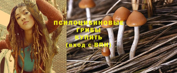 МДМА Карпинск