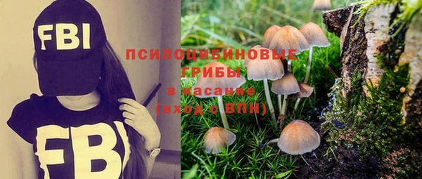 МДМА Карталы